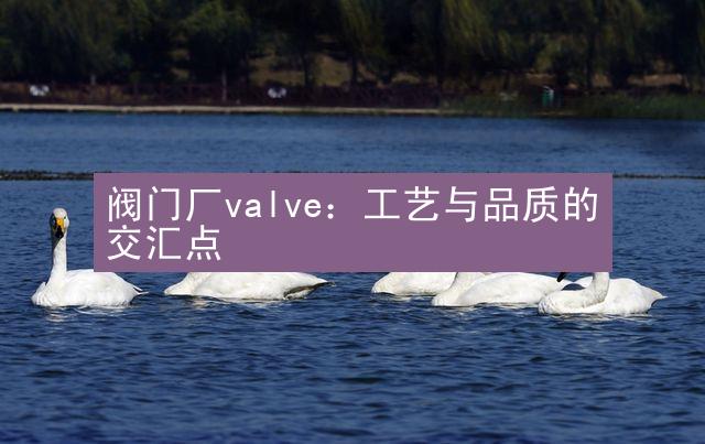 阀门厂valve：工艺与品质的交汇点